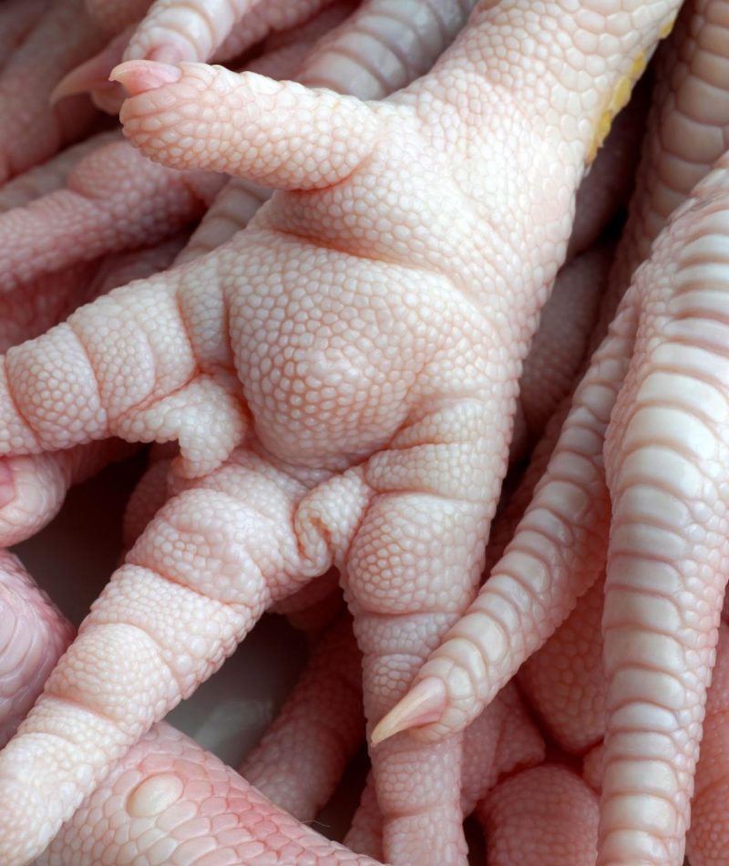closeup-of-raw-chicken-feet-piled-on-each-other-2025-02-09-18-01-32-utc